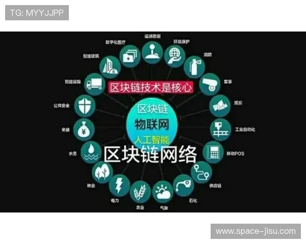 区块链技术应用于赛事版权管理，构建可追溯的数字资产生态